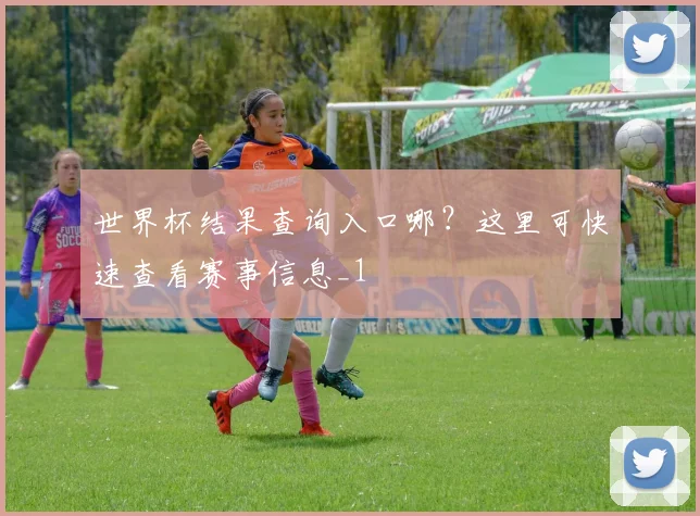 世界杯结果查询入口哪?这里可快速查看赛事信息_1