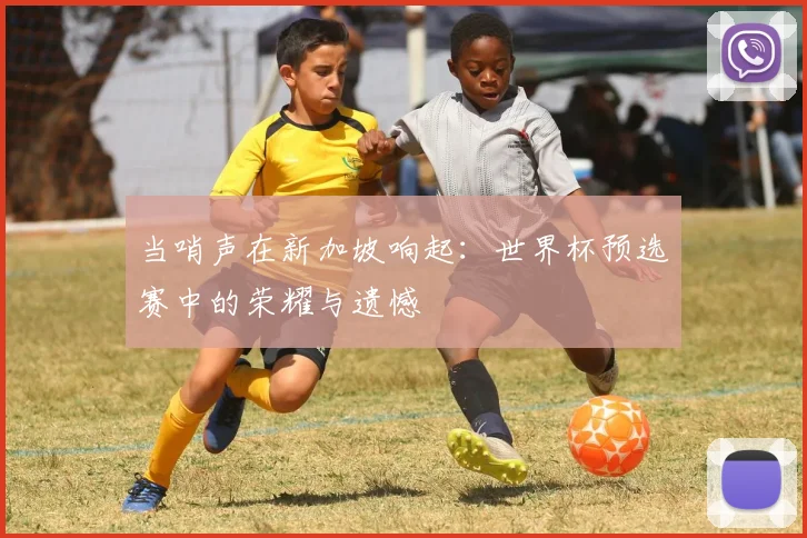 当哨声在新加坡响起:世界杯预选赛中的荣耀与遗憾