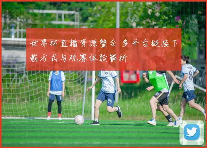 世界杯直播资源整合 多平台链接下载方式与观赛体验解析