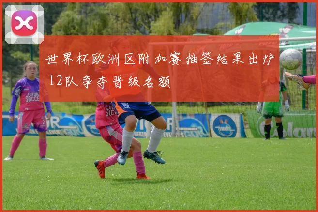 世界杯欧洲区附加赛抽签结果出炉 12队争夺晋级名额