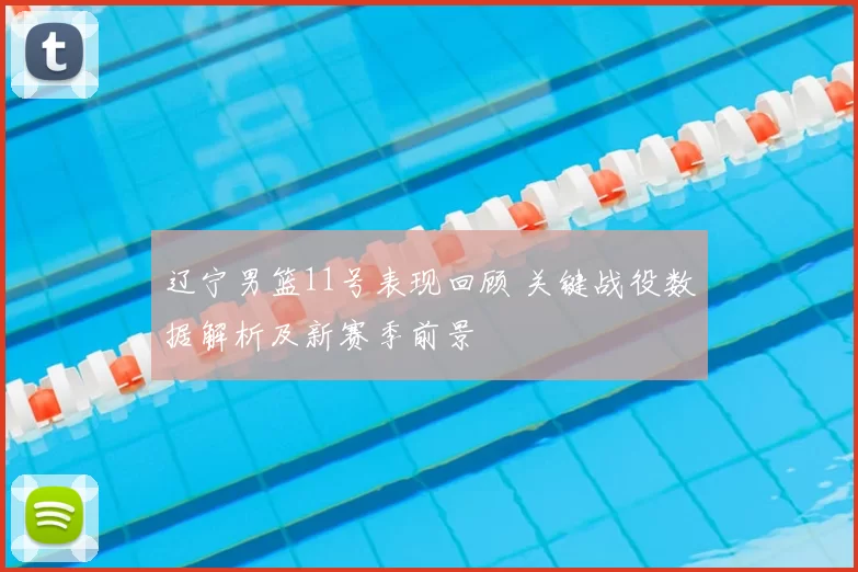 辽宁男篮11号表现回顾 关键战役数据解析及新赛季前景