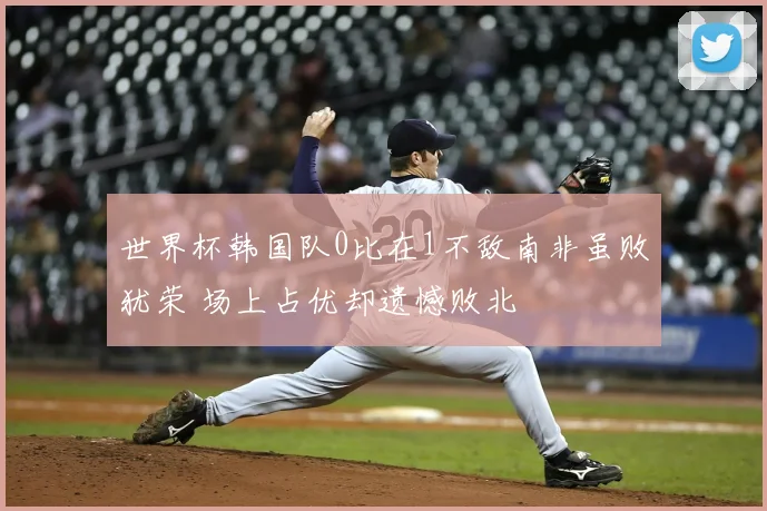 世界杯韩国队0比在1不敌南非虽败犹荣 场上占优却遗憾败北