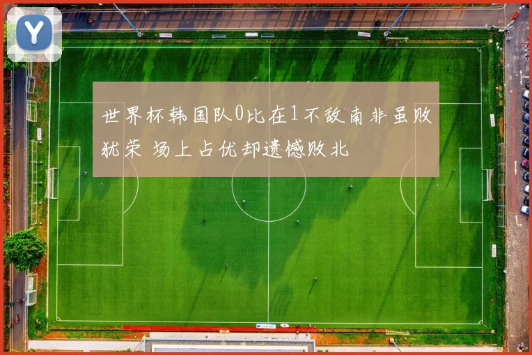 世界杯韩国队0比在1不敌南非虽败犹荣 场上占优却遗憾败北